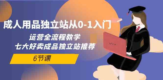 [跨境电商] 成人用品独立站从0-1入门，运营全流程教学，七大好卖成品独立站推荐（6节课