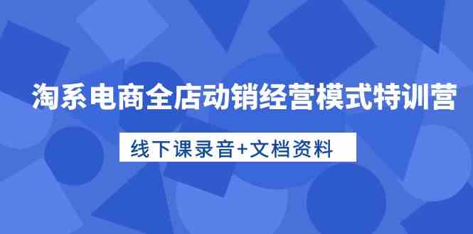 [淘系电商] 淘系电商全店动销经营模式特训营，线下课录音+文档资料